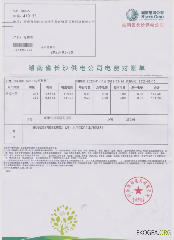 CHINA STATE POWER GRID utility bill Word and PDF template